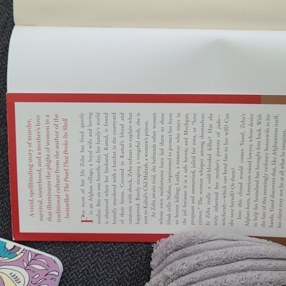 NADIA Hashimi A House Without Windows Novel Book - Picture 3 of 4